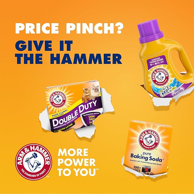 Arm & Hammer Plus OxiClean With Odor Blasters Laundry Detergent 5-IN-1 Power Paks, 42CT (Packaging may vary) (Pack of 2)